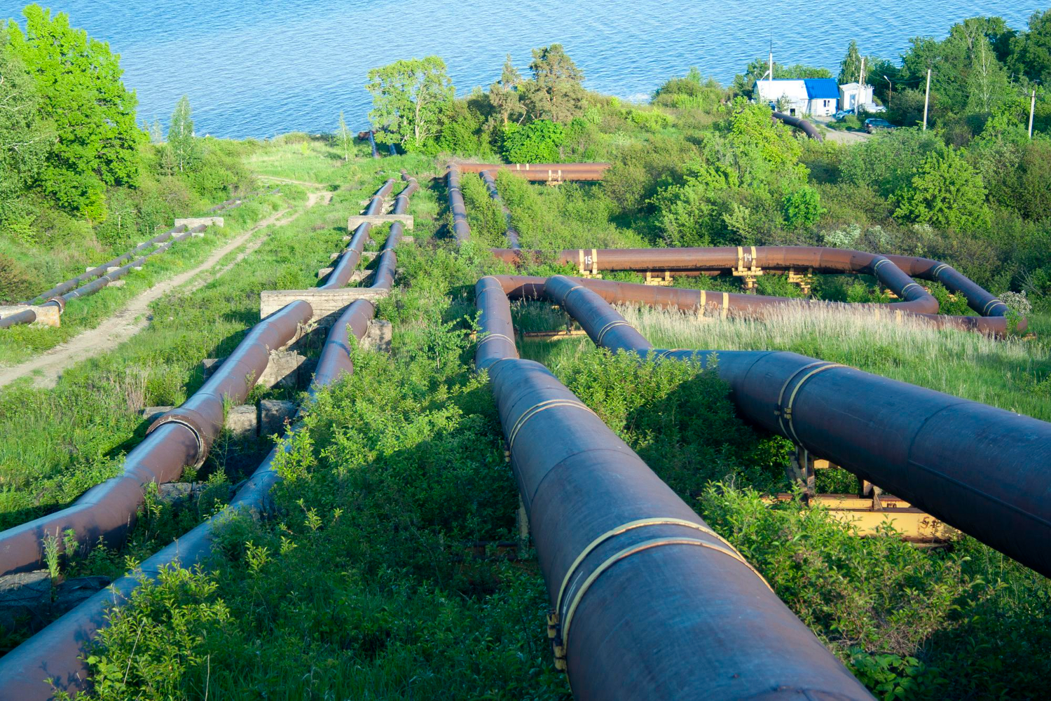 Water Networks