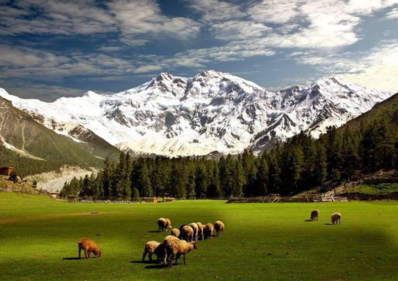 Fairy Meadows tour packages