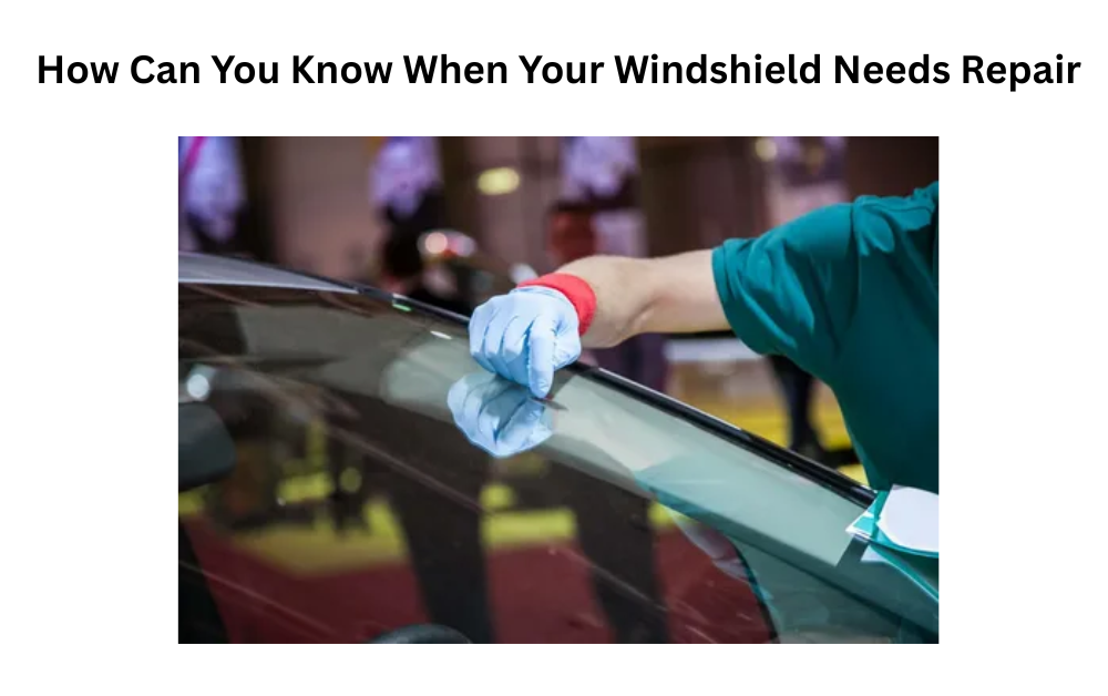 windshield