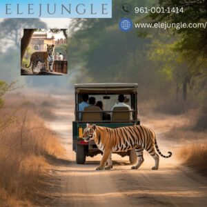 Jaipur Ranthambore Tour Package