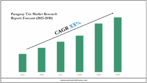 Paraguay Tire Market