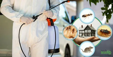 Pest Control Rawalpindi