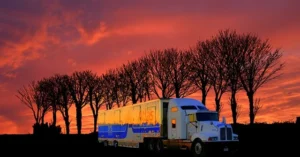 UAE Retail Logistics Market
