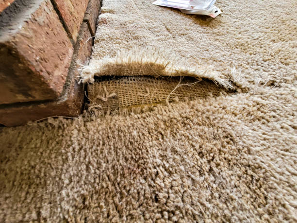 Carpet Repair in Chilliwack