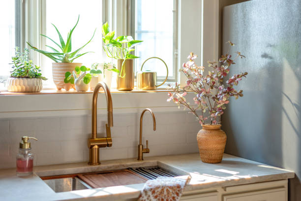 quartzite countertops