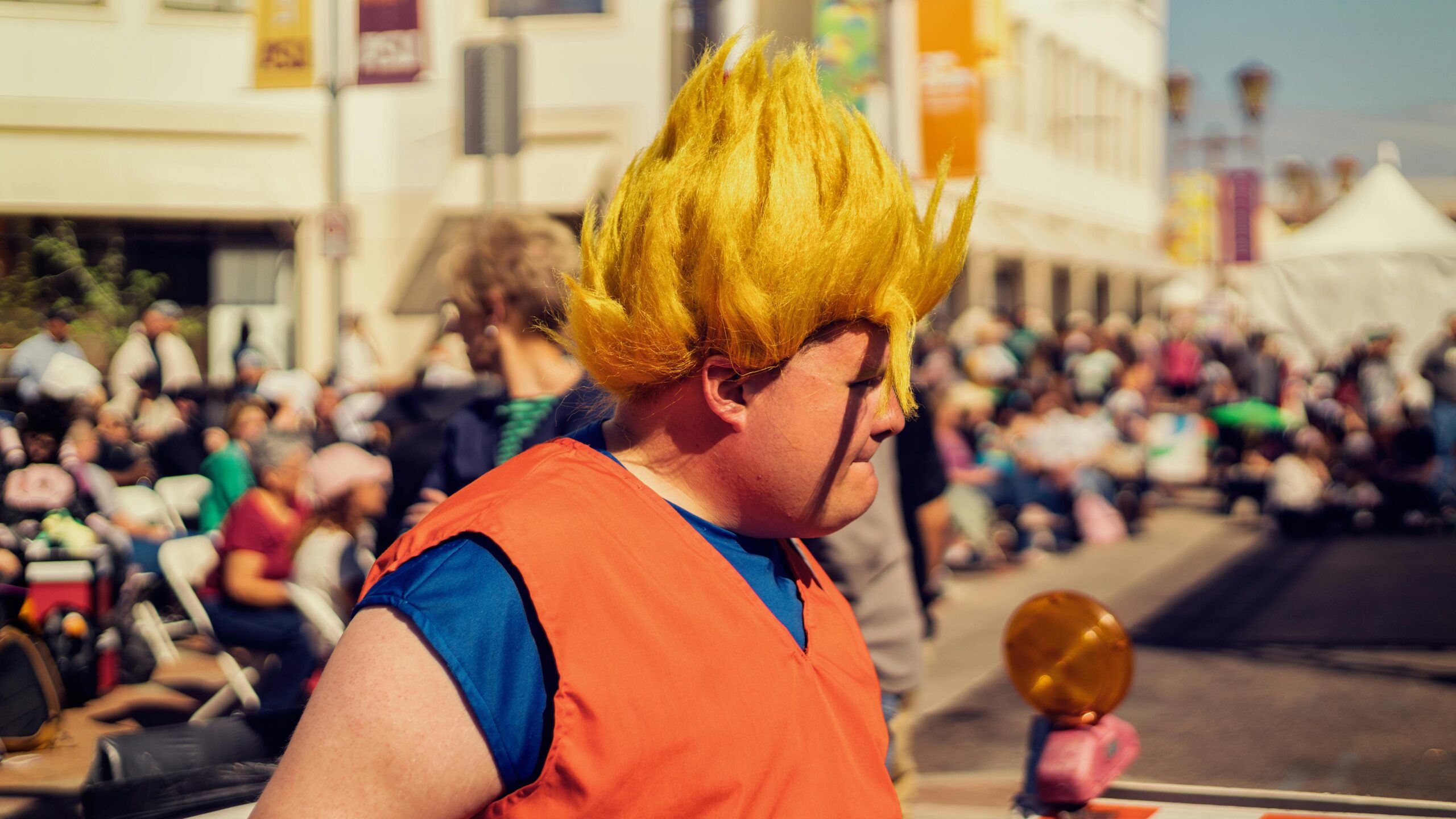 Dragon Ball Z Hoodies