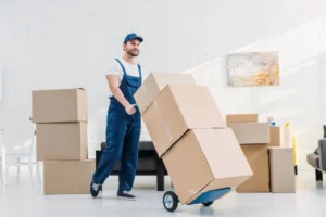 Movers and Packers