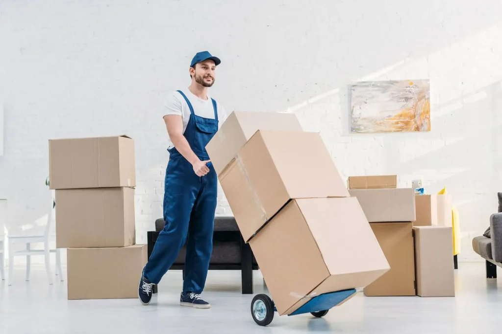 Movers and Packers