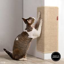 wall cat scratcher