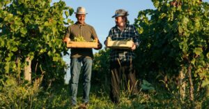 wine marketing ideas