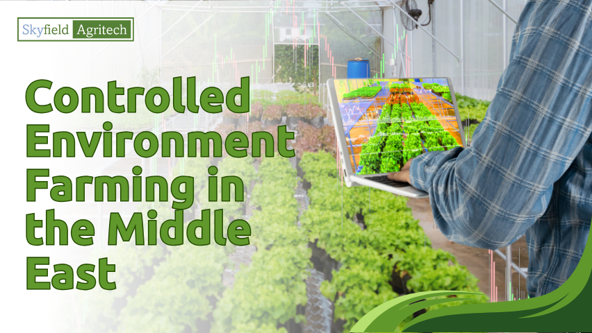 Controlled Environment Farming in the Middle East