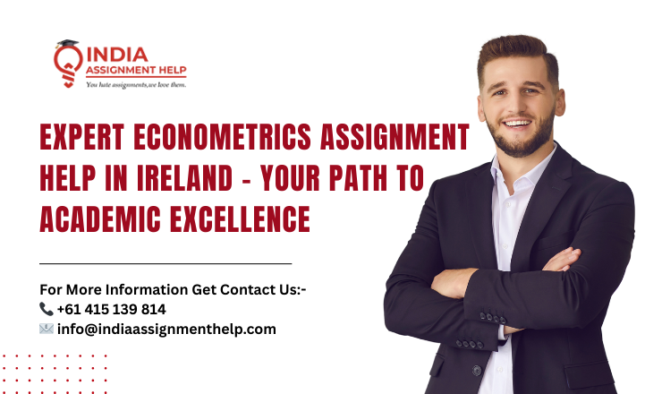 econometrics assignment help