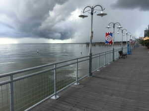 Fence Company near me