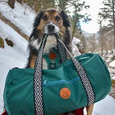 dog carrying purse