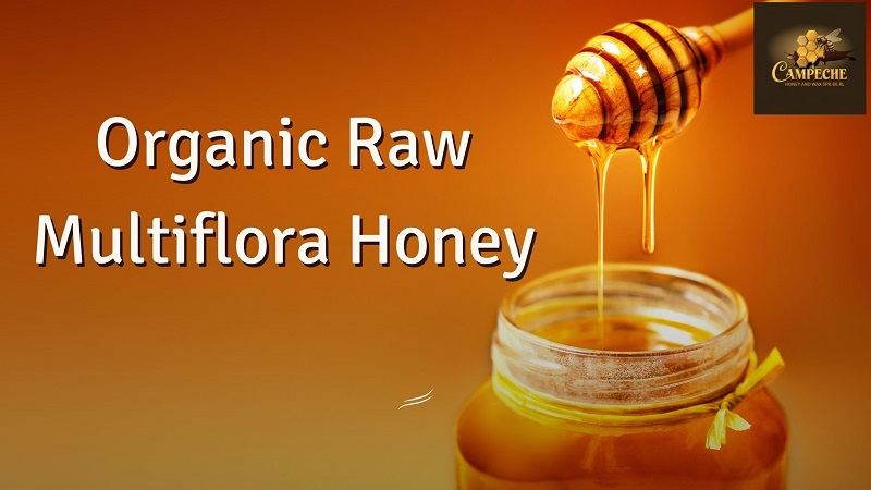 Organic Raw Multiflora Honey
