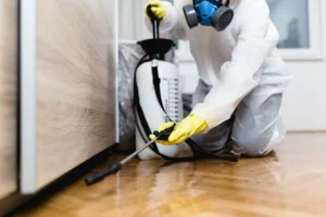  residential pest control Hamilton