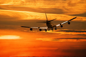 Airline experience