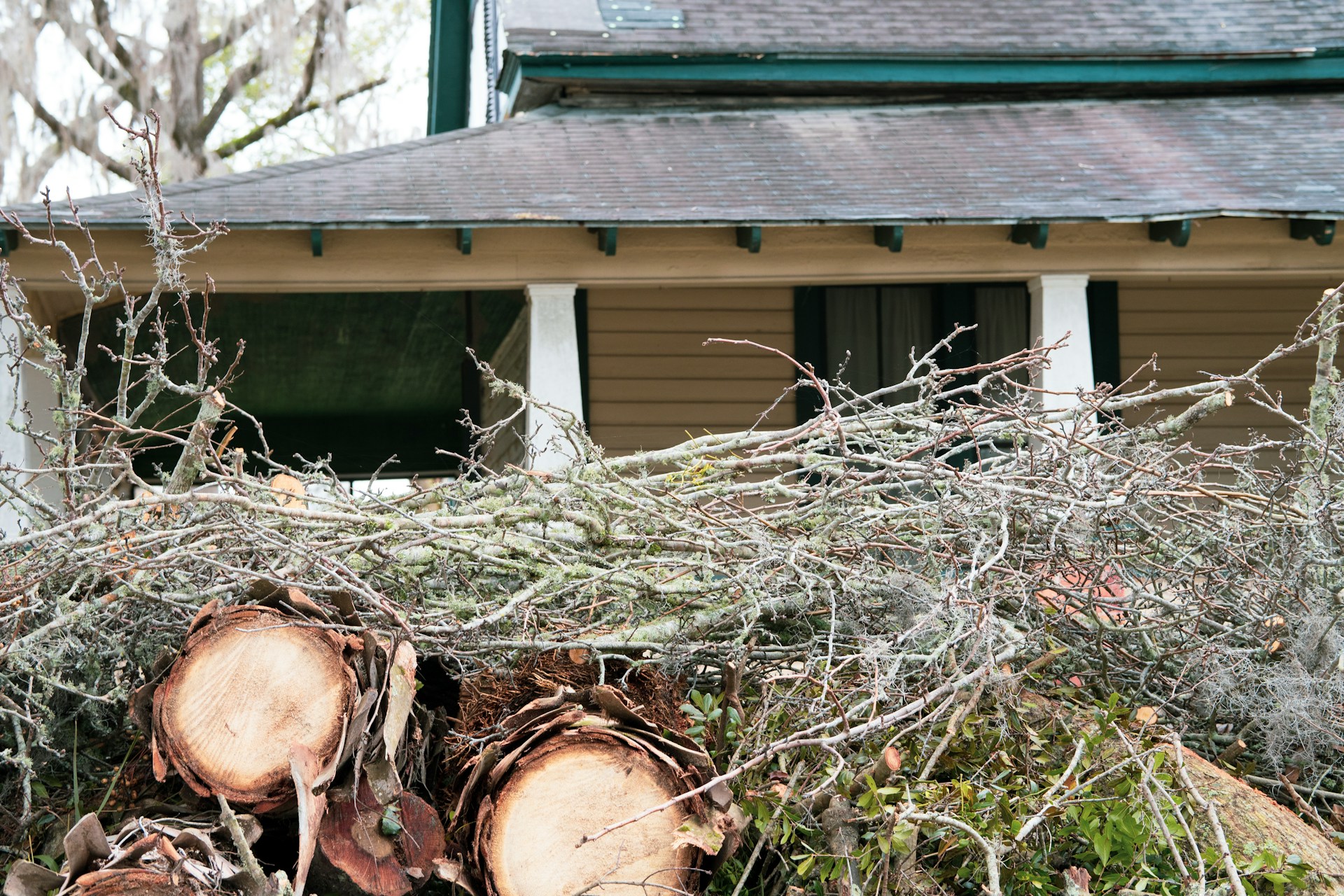 A large pile of freshly cut logs stacked in front of a house, ready for removal.