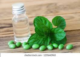 peppermint capsules