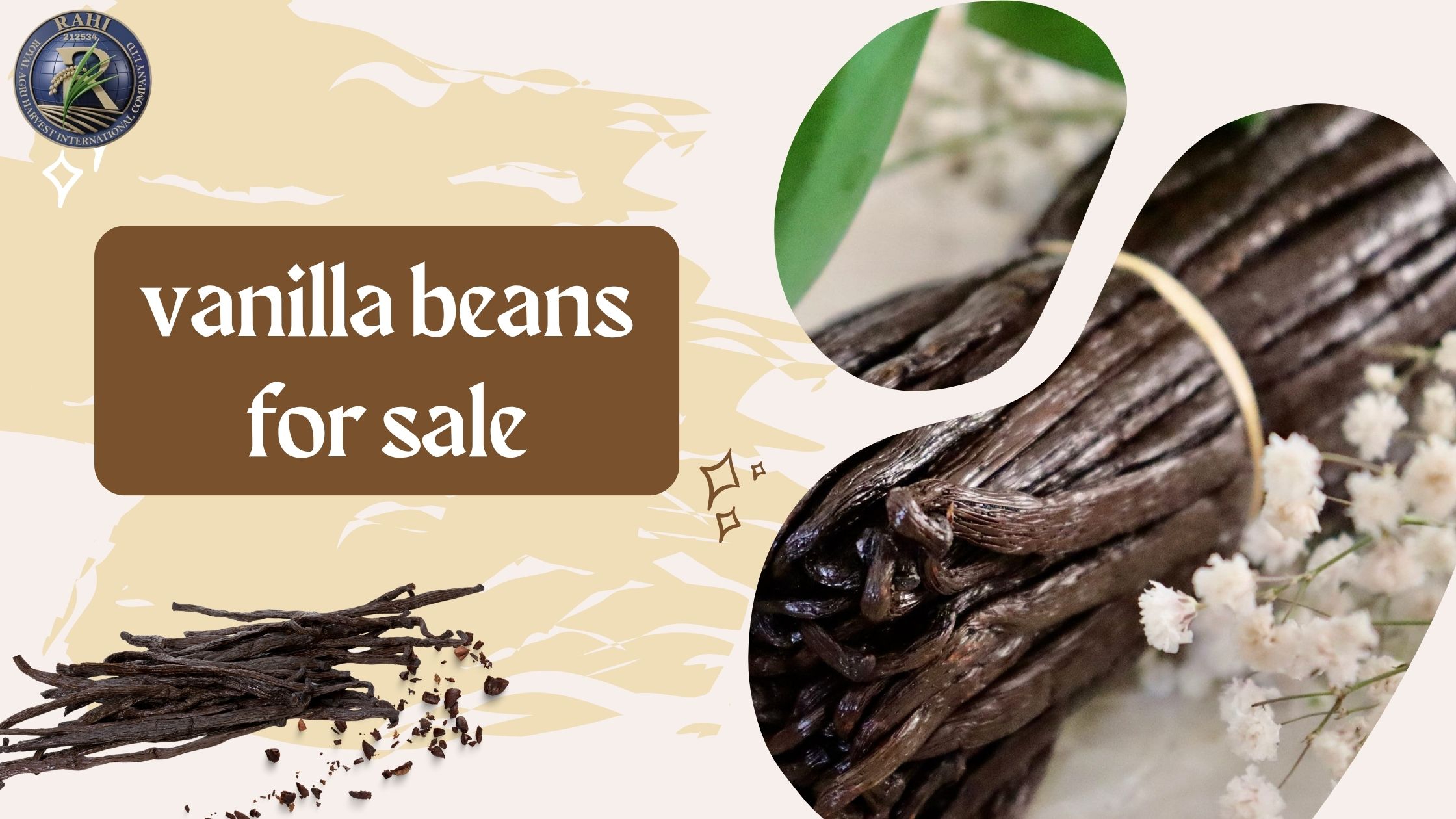 vanilla beans for sale