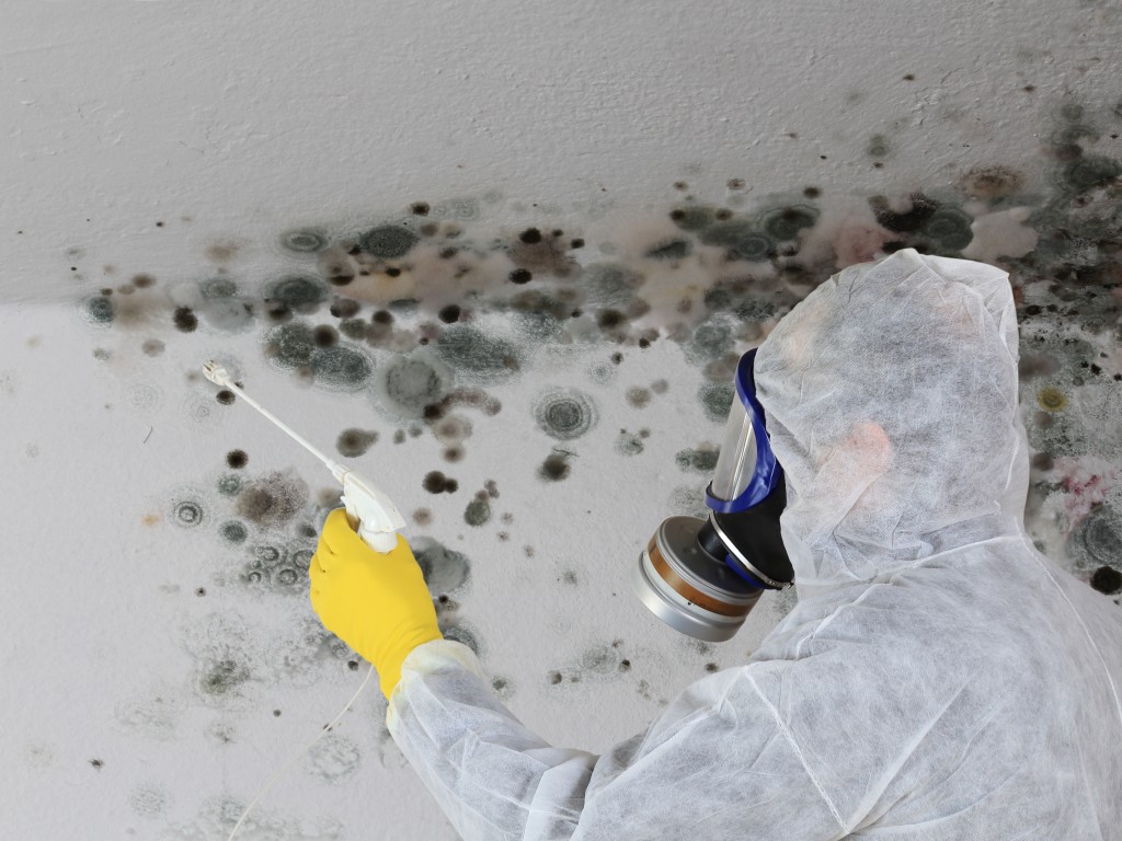 Reliable Mold Damage
