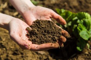 soil delivery melbourne