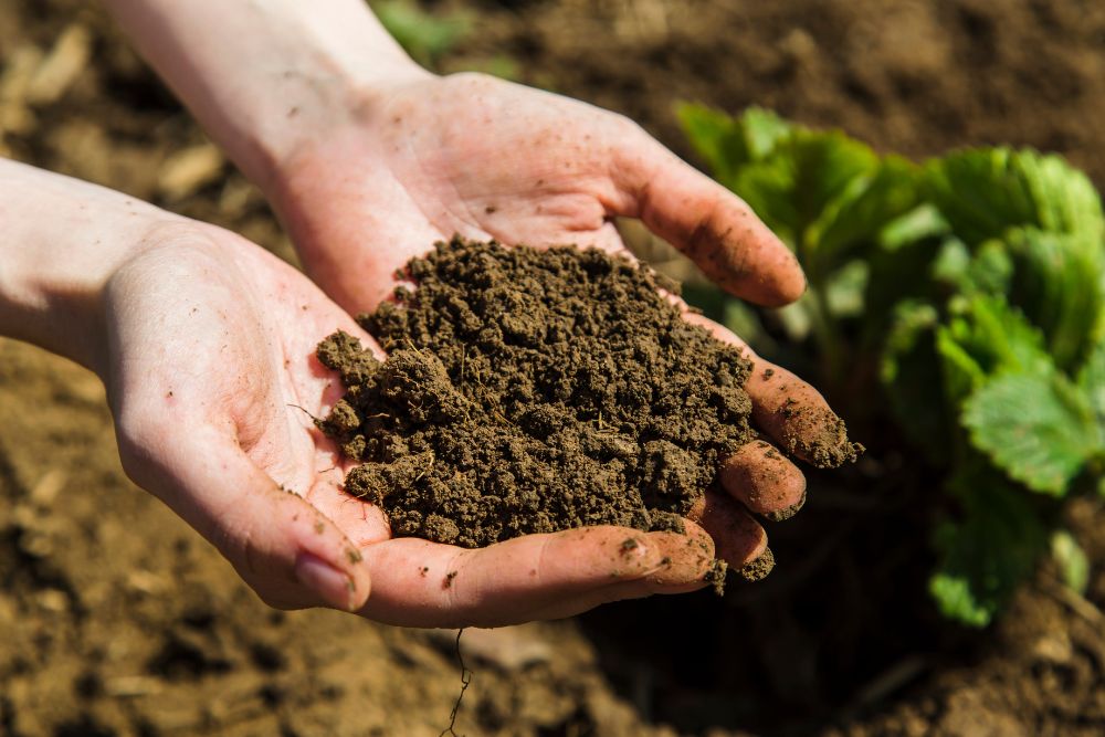 soil delivery melbourne